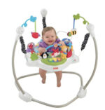 Jumperoo Discovery Fisher Price (valor inicial 15 dias) - Imagem 2