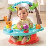 Cadeirinha de Bebê Summer Deluxe Promocional (valor inicial 15 dias)