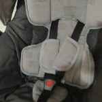 Bebê Conforto Burigotto (5 dias valor inicial) - Imagem 2