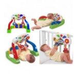 Ginásio de Atividades Duo Gym – Chicco (valor inicial 15 dias) - Imagem 2
