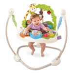 Jumperoo Selvagem Fisher Price (Go Wild) promocional (valor inicial 15 dias) - Imagem 2