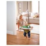 Jumperoo Pula Pula de Porta Graco (valor inicial 5 dias)