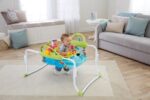 Jumperoo Primeiros Passos Fisher Price Promocional (valor inicial 15 dias)