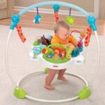 Jumperoo Meus Bichinhos Pula Pula (valor inicial 15 dias) - Imagem 2
