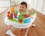 Cadeirinha Snack and Play Fisherprice Promocional (valor inicial 5 dias)