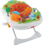 Cadeirinha Snack and Play Fisherprice Promocional (valor inicial 5 dias) - Imagem 6