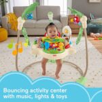 Jumperoo  Fisherprice Floresta Tropical (valor inicial 15 dias) Rainforest - Imagem 5